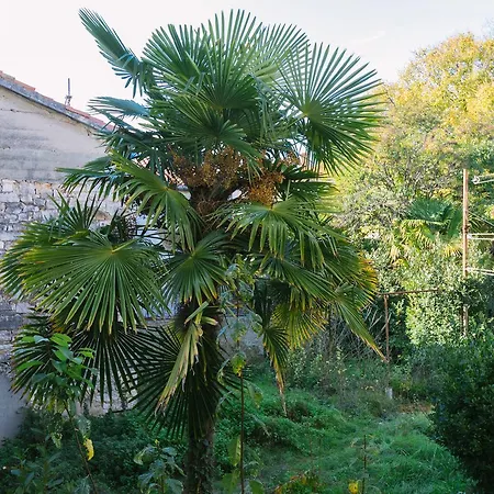 Boutique Forum Apartamento Zadar