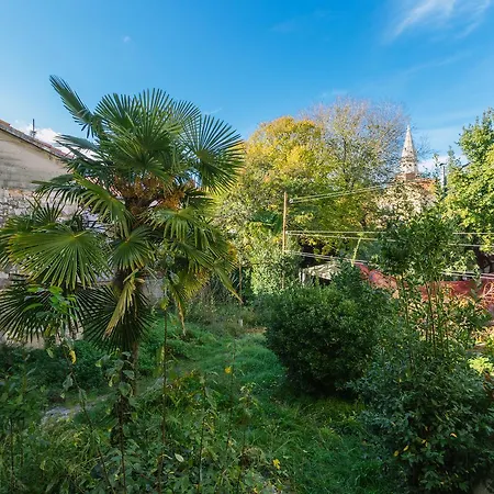 Apartman Boutique Forum Zára