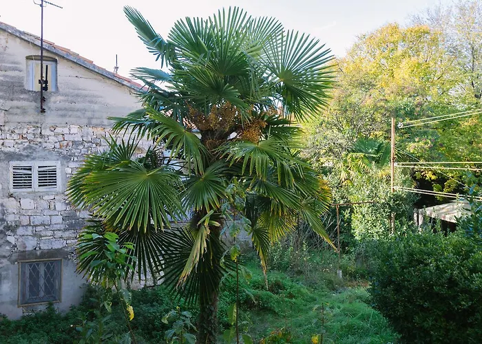 Boutique Forum Апартаменты Задар